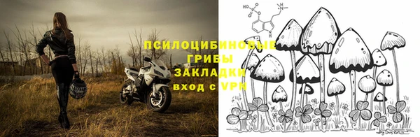 СК Алзамай
