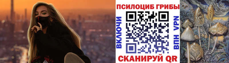 площадка как зайти  мега рабочий сайт  Сосновый Бор  Псилоцибиновые грибы мицелий 